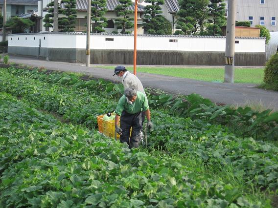 自社農園