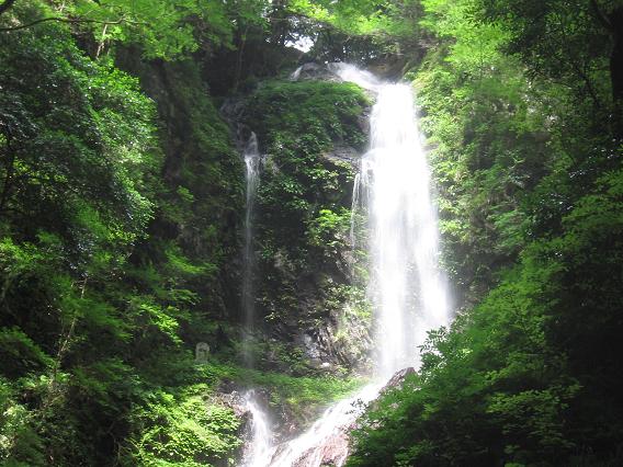 徳島県の癒しの場