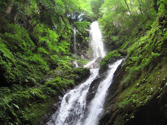 徳島県の癒しの場所